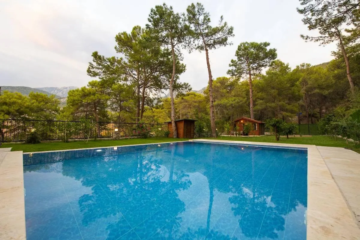 Villa Kelebek Faralya Fethiye 0*,  Turkey