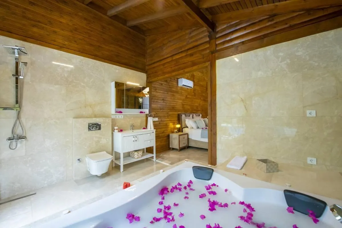 Villa Kelebek Faralya Fethiye 0*,
