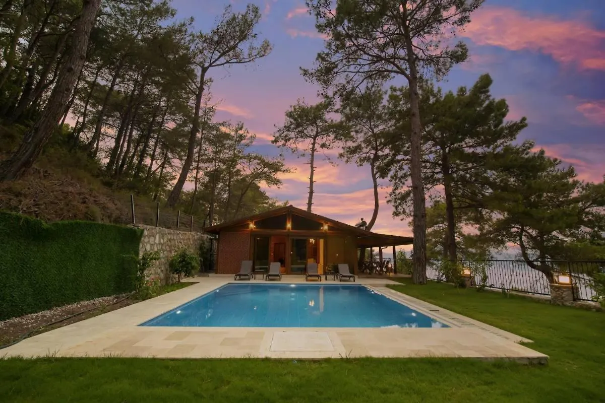 Villa Kelebek Faralya Fethiye