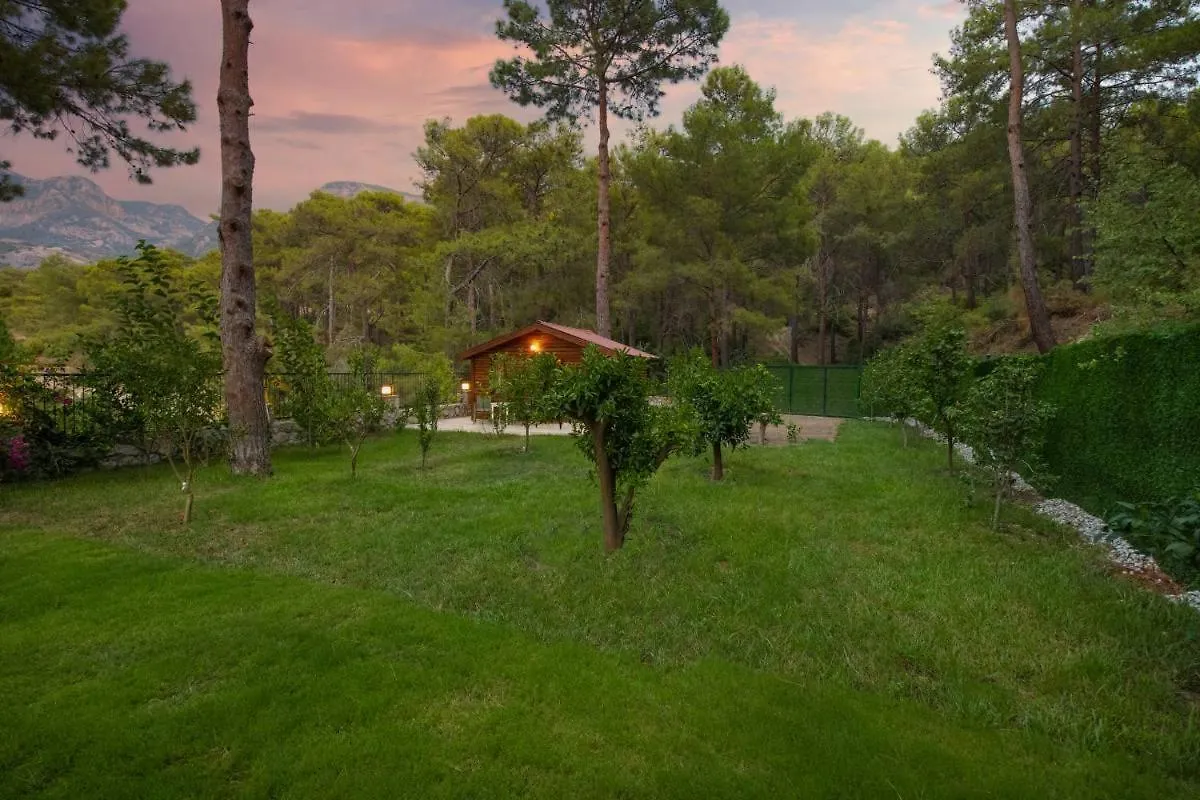 Villa Kelebek Faralya Fethiye