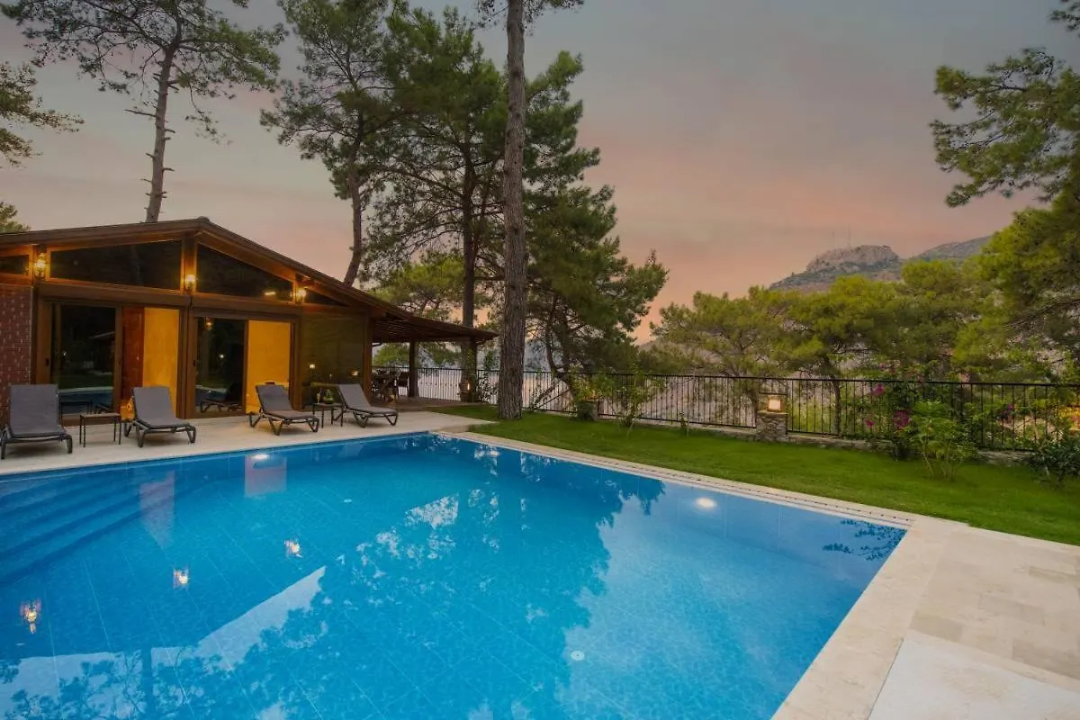 Villa Kelebek Faralya location